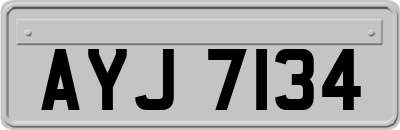 AYJ7134