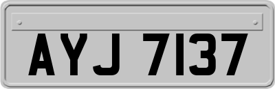 AYJ7137