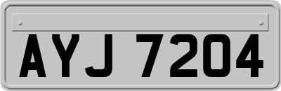 AYJ7204