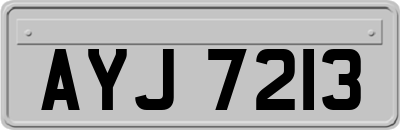AYJ7213