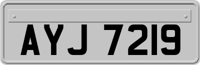 AYJ7219