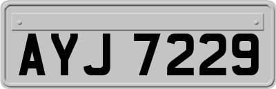 AYJ7229
