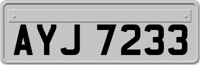 AYJ7233