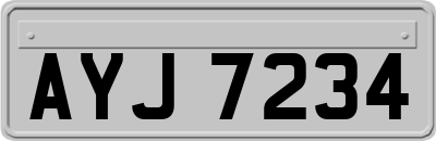 AYJ7234