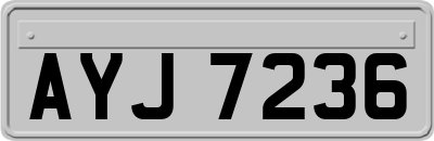 AYJ7236