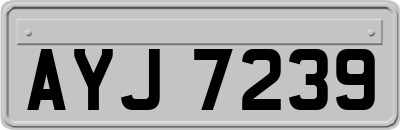AYJ7239