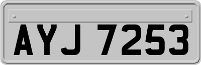 AYJ7253