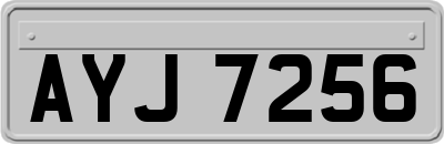 AYJ7256