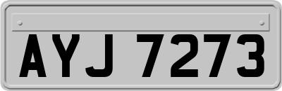 AYJ7273