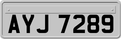 AYJ7289