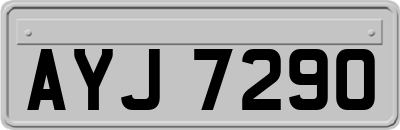 AYJ7290