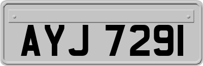 AYJ7291