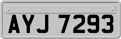 AYJ7293