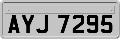 AYJ7295