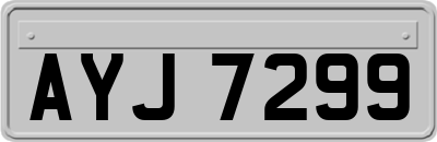 AYJ7299