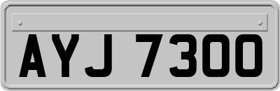 AYJ7300