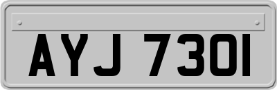 AYJ7301