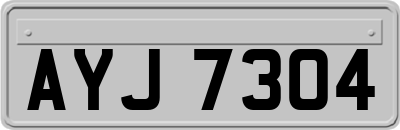 AYJ7304