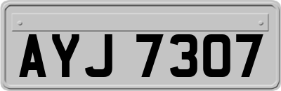 AYJ7307