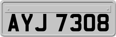 AYJ7308