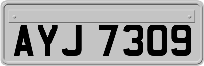 AYJ7309