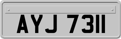 AYJ7311