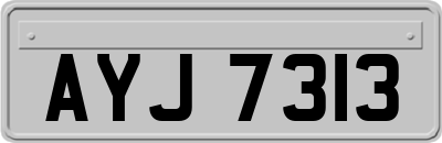 AYJ7313