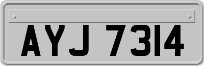 AYJ7314