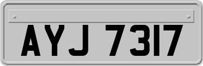 AYJ7317