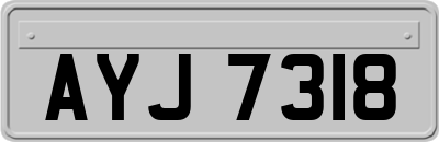 AYJ7318