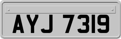 AYJ7319
