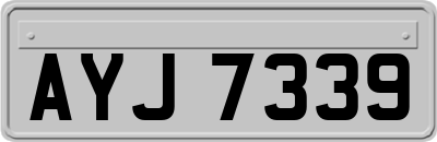 AYJ7339