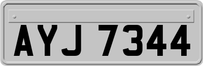 AYJ7344