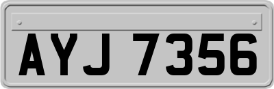 AYJ7356