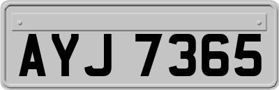 AYJ7365