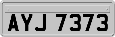 AYJ7373