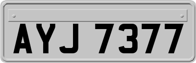 AYJ7377