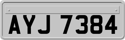 AYJ7384