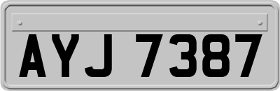 AYJ7387