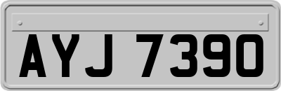 AYJ7390