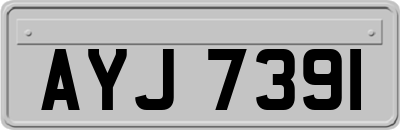 AYJ7391