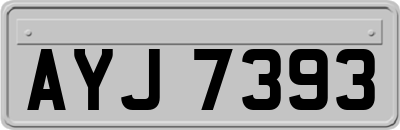 AYJ7393