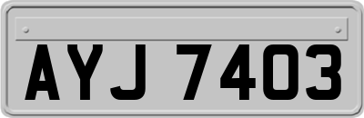 AYJ7403