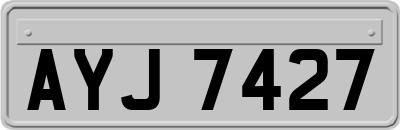 AYJ7427