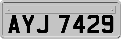 AYJ7429