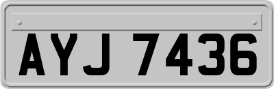 AYJ7436