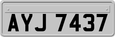 AYJ7437