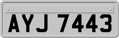 AYJ7443
