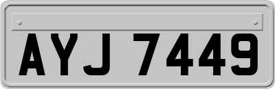 AYJ7449