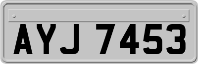 AYJ7453